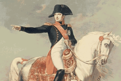 Enter the wonderful world of Napoleon Bonaparte!!~